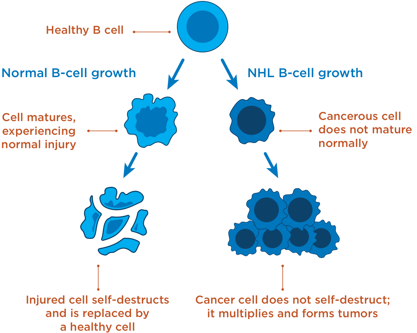 NHL & CLL Treatment Option | RIABNI™ (rituximab-arrx)